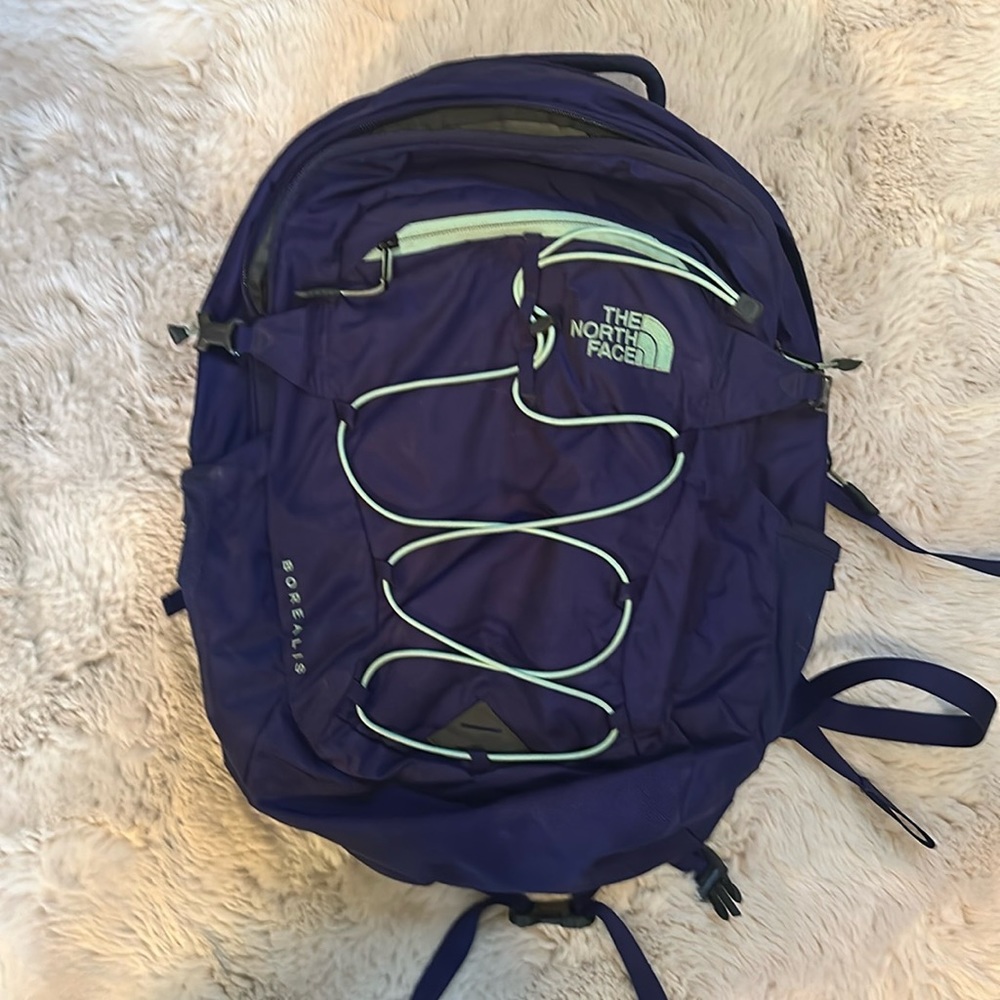 The north face back pack